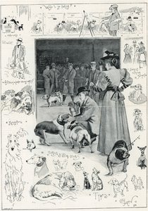 Kennelliiton koirien näyttely Crystal Palacessa tekijältä Cecil Charles Windsor Aldin