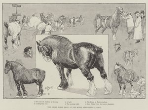Shire Horse Show Royal Agricultural Hallissa tekijältä Cecil Charles Windsor Aldin