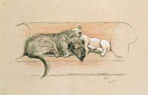 Susikoira ja bullterrieri nukkumassa sohvalla (pastelli paperilla) tekijältä Cecil Charles Windsor Aldin