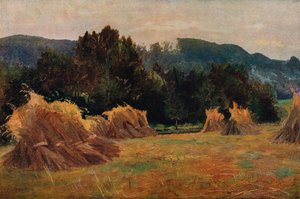 Meifodin laakso, 1873