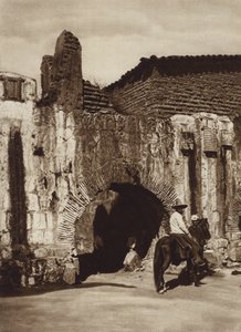 Meksiko: Oaxaca, Tuberia espanola (m/v kuva)