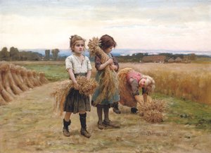 Nuoret harvesterit tekijältä Cesar Pattein