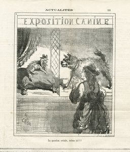 Il·lustració de Cham (1819-1879) a The Charivarifinnish tekijältä Amédée de Noé