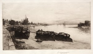 Mutaveneet Thamesilla, 1883.