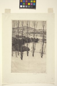 Vuori (muste)