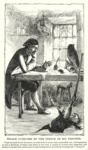 Wilson vanginsa kauhun vallassa (kaiverrus) tekijältä Charles Altamont Doyle