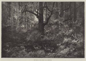 Metsän sydän tekijältä Charles Auguste Loye