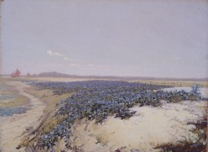 Kukkien peittämät dyynit (öljy kankaalle) tekijältä Charles Augustus Lasar