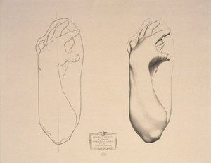 Bent Arm of a Woman, levy 22, Cours de Dessin Volume I, Modeles dapres la bosse, n. 1868