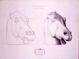 Hevosen pää Parthenonin länsipäädystä, levy 47 Cours de Dessinistä, n. 1898