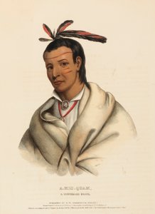 A-MIS-QUAM, A WINNEBAGO BRAVE, Pohjois-Amerikan intiaaniheimojen historiasta. tekijältä Charles Bird King
