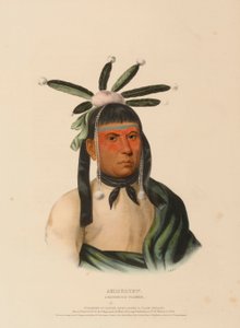 AMISKQUEW. A MENOMINIE WARRIOR., from History of the Indian Tribes of North America. tekijältä Charles Bird King