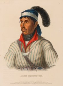 APAULY-TUSTENNUGGEE., kirjasta History of the Indian Tribes of North America. tekijältä Charles Bird King