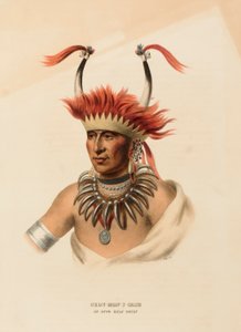 CHON-MON-I-CASE. AN OTTO HALF CHIEF, kirjasta History of the Indian Tribes of North America (Pohjois-Amerikan intiaaniheimojen historia). tekijältä Charles Bird King