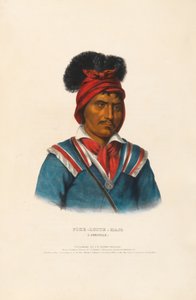  tekijältä Charles Bird King