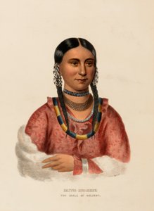 HAYNE-HUDJIHINI. THE EAGLE OF DELIGHT., kirjasta History of the Indian Tribes of North America. tekijältä Charles Bird King