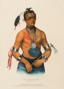 HOO-WAN-NE-KA, WINNEBAGO CHIEF, Pohjois-Amerikan intiaaniheimojen historiasta. tekijältä Charles Bird King
