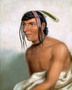  tekijältä Charles Bird King