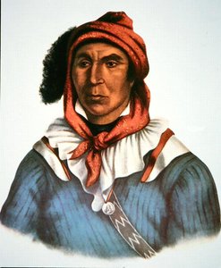 Julcee Mathla tekijältä Charles Bird King