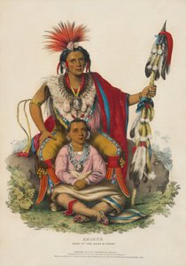 tekijältä Charles Bird King