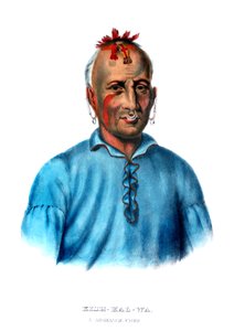 Kukat tekijältä Charles Bird King