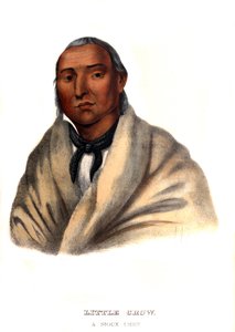 Pikku Crow, Sioux-päällikkö