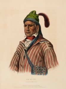 ME-NA-WA. A CREEK WARRIOR, kirjasta History of the Indian Tribes of North America. tekijältä Charles Bird King