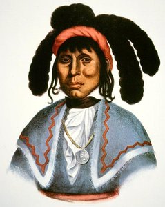 Micanopy (k. 1849) n. 1826 (väri litho) tekijältä Charles Bird King
