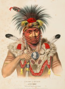 NE-SOU-A-QUOIT. A FOX CHIEF., kirjasta History of the Indian Tribes of North America. tekijältä Charles Bird King