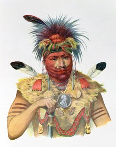 Ne-Sou-A-Quoit, Fox Chief, kuvitus teoksesta "The Indian Tribes of North America", Thomas L. McKenney ja James Hall, pub. kirjoittanut John Grant