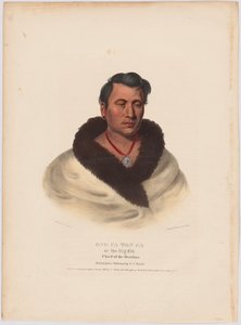 Ong-pa-ton-ga tekijältä Charles Bird King