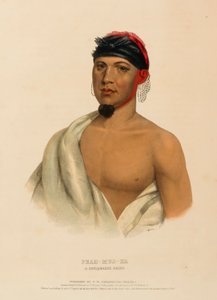 PEAH-MUS-KA. A MUSQUAKE CHIEF., kirjasta History of the Indian Tribes of North America. tekijältä Charles Bird King