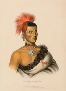 PES-KE-LE-LE-CHA-CO, PAWNEE CHIEF, Pohjois-Amerikan intiaaniheimojen historiasta. tekijältä Charles Bird King