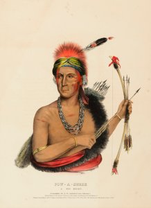 POW-A-SHEEK. FOX CHIEF. tekijältä Charles Bird King