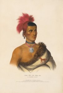  tekijältä Charles Bird King