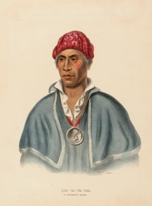 QUA-TA-WA-PLA. A SHAWANOE CHIEF from History of the Indian Tribes of North America. tekijältä Charles Bird King