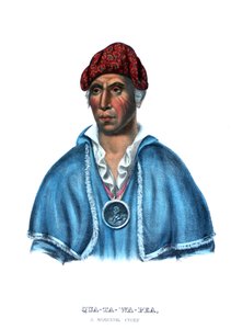 Quatawapea tai eversti Lewis tekijältä Charles Bird King