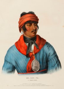 SE-LOC-TA, PUROJEN PÄÄLLIKKÖ... tekijältä Charles Bird King