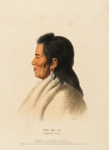 SHA-HA-KA. MANDAN-PÄÄLLIKKÖ. tekijältä Charles Bird King