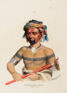SHAU-HAU-NAPO-TINTA. IOWAYN PÄÄLLIKKÖ. tekijältä Charles Bird King
