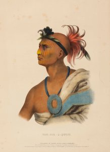 TAH-COL-O-QUOIT., kirjasta History of the Indian Tribes of North America. tekijältä Charles Bird King