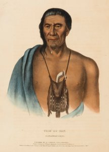 TISH-CO-HAN. A DELAWARE CHIEF., kirjasta History of the Indian Tribes of North America. tekijältä Charles Bird King