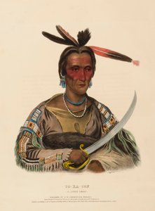 TO-KA-CON. A SIOUX CHIEF., kirjasta History of the Indian Tribes of North America. tekijältä Charles Bird King