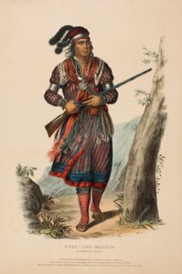 TUKO-SEE-MATHLA. A SEMINOLE CHIEF., from History of the Indian Tribes of North America. tekijältä Charles Bird King