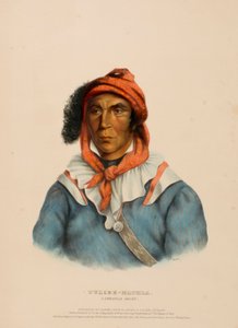 TULCEE-MATHLA. A SEMINOLE CHIEF., kirjasta History of the Indian Tribesof North America. tekijältä Charles Bird King