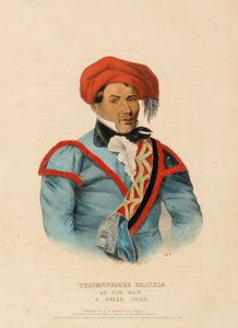 TUSTENNUGGEE EMATHLA, Pohjois-Amerikan intiaaniheimojen historiasta. tekijältä Charles Bird King