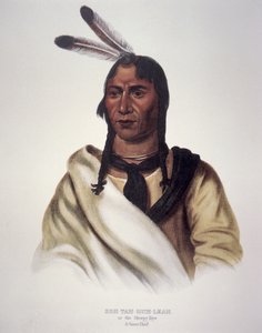 "Sleepy Eye" tekijältä Charles Bird King