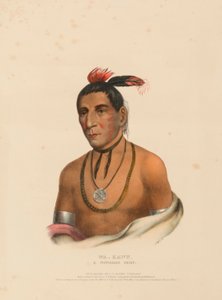 WA-KAWN, A WINNEBAGO CHIEF., kirjasta History of the Indian Tribes of North America. tekijältä Charles Bird King