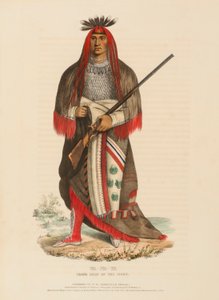 WA-NA-TA. SIOUXIEN GRAND CHIEF, kirjasta History of the Indian Tribes of North America (Pohjois-Amerikan intiaaniheimojen historia). tekijältä Charles Bird King