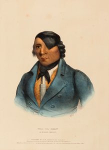 WAA-PA-SHAW. A SIOUX CHIEF, kirjasta History of the Indian Tribes of North America. tekijältä Charles Bird King